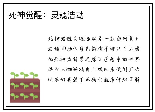 死神觉醒：灵魂浩劫